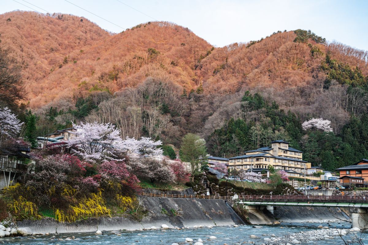 南信州の桜旅　昼神温泉